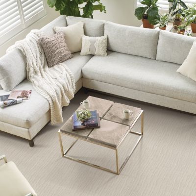 beige carpets in a bright Baton Rouge living room